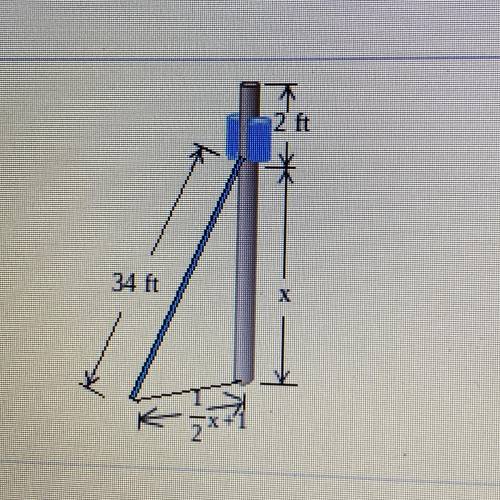 Use the information in the figure to determine the height of the pole.
