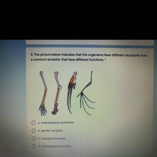 The picture below indicates that the organisms have different structures from

a common ancestor t