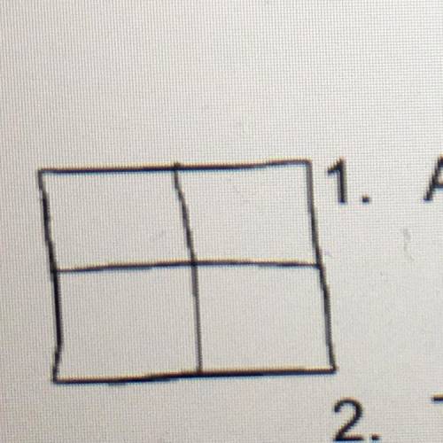 Attached (Aa) and Detached Earlobes (aa):
fill out the punnet square!