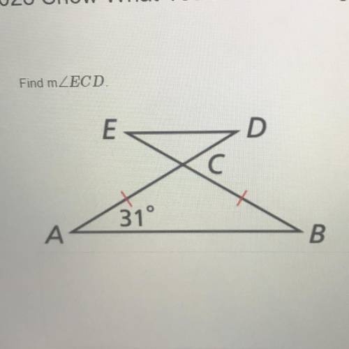 Find mZECD
E
D
C С
31°
A
B
PLEASE HELP I WILL GIVE BRAINLIEST