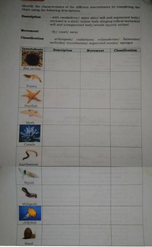 Identify the characteristics of the different invertebrates by completing the chart using the follo