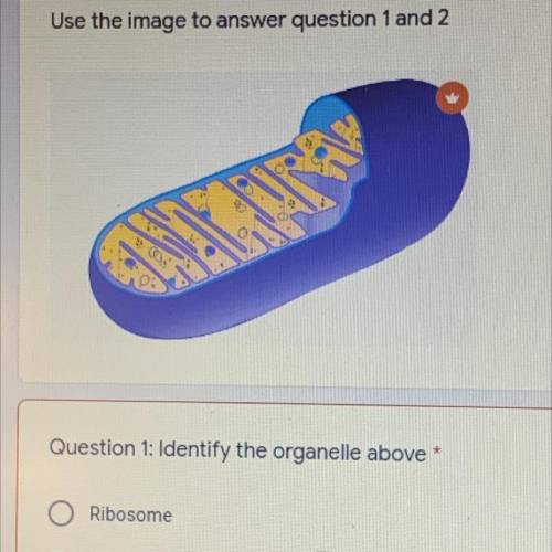 Ma

Question 1: Identify the organelle above *
Ribosome
O Mitochondria
O Nucleus
Chloroplast