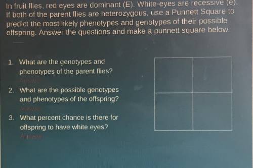 Two slides of a punnet square assignment that I need help with so pls help!!