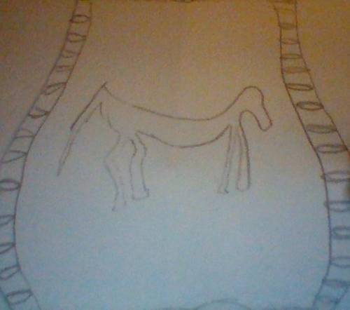 Me tryna draw a horse for art class be like:
