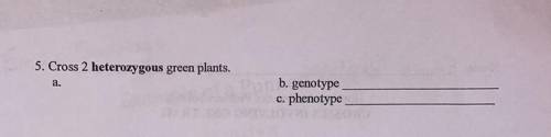 Can anyone help me with my biology homework??