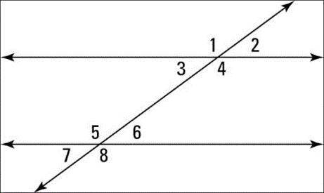Angles 4 and 5 are ….