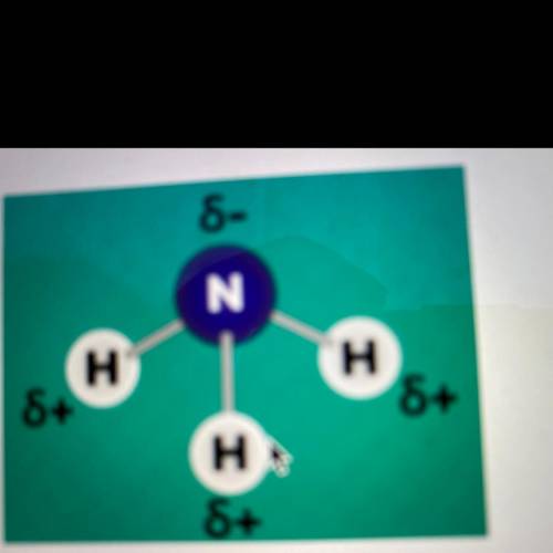 Is this molecule a polar or non polar?