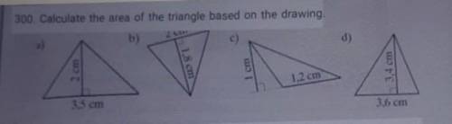 300. Calculate the area of the triangle based on the drawing.​