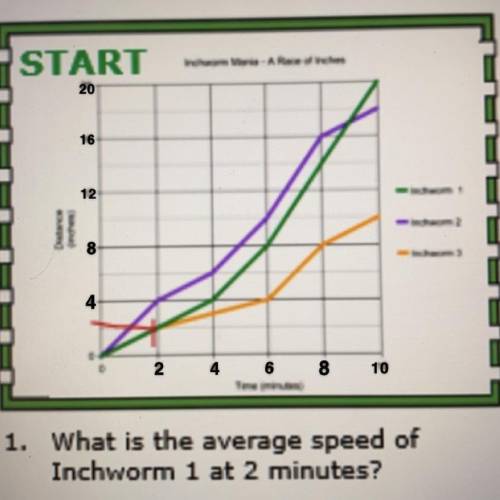 What is the average speed of inchworm 1 at 2 minutes?
I made the chart as clear as I could.