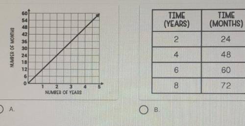 10 POINTS‼️‼️Which of the following does NOT represent the number of months in a year?

A and b ar
