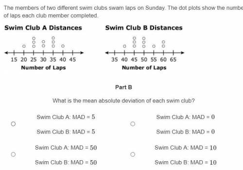 What is the mean absolute deviation of each swim club?