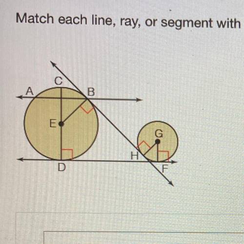Match each line, ray, or segment with the term that best describes it.