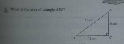 What is the area of this triangle?​