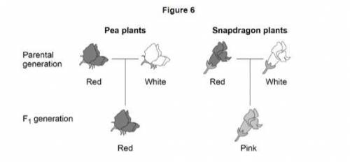 Figure 6 shows the inheritance of flower colour in two species of plant.

In pea plants and in sna