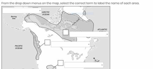 The options are Anasazi, Bering strait , Inuit ,Northwest coast indians