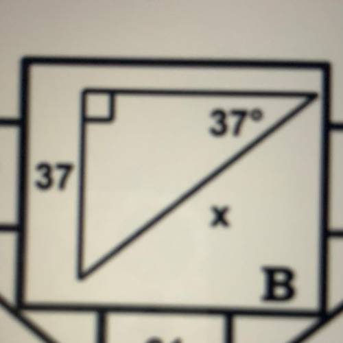 37°
37
x
Can someone help ?