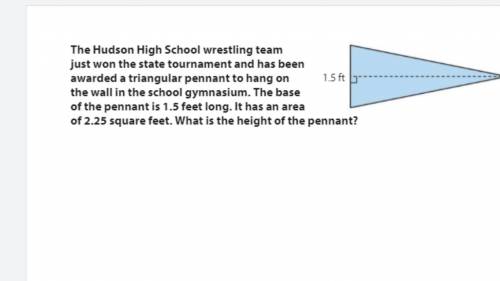 The Hudson high school wrestling team just won the state tournament and has been awarded a triangul