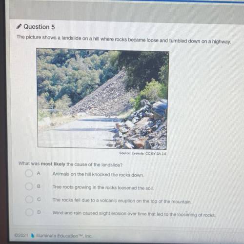 The picture shows a landslide on a hill where rocks became loose and tumbled down on a highway.

A