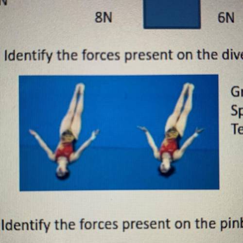 Identify the forces present on the divers in the picture below.

Gravity
Spring
Tension
Normal
Sli