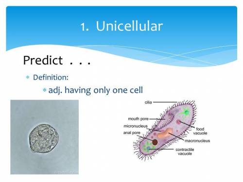 Need an answer soon. Which definition best defines the word unicellular?

divided into two equal pa