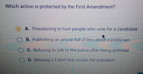 Which action is protected by the first amendment?​