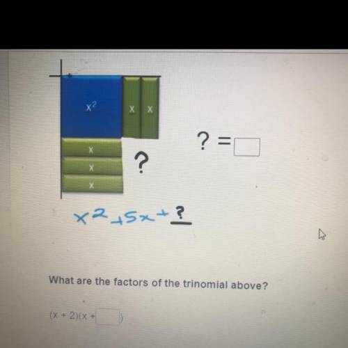 What are the factors of the trinomial