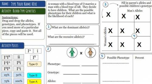 Codominance blood type 5 questions including 3x3 Punnet Square and Phenotype + Genotype