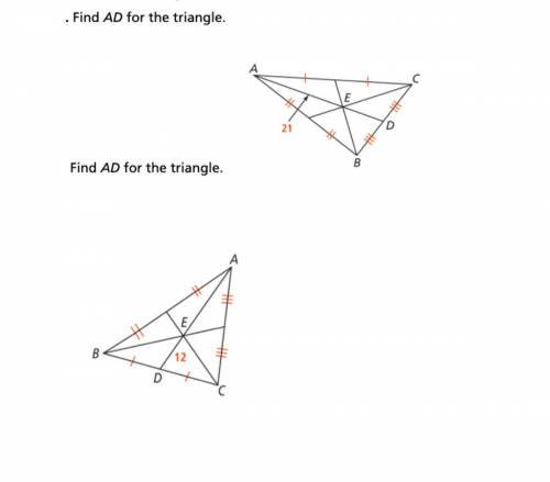 Please help me this is geometry and i am so clueless