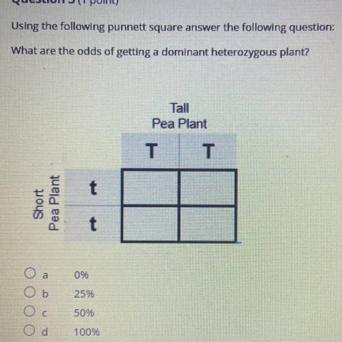 What are the odds of getting a dominant heterozygous plants?