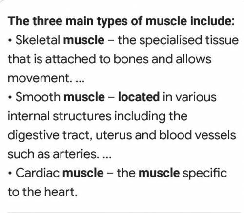 WHERE ARE THE THREE TYPES OF MUSCLES FOUND?