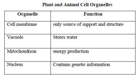 Jorge made the following table based on his study of plant and animal cells.

He made a mistake wh