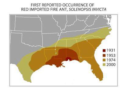 PLEASE HELP ONLY IF U KNOW!

This map shows the spread of the red fire ant after its introduction