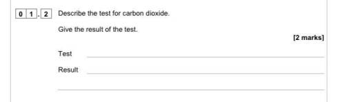 Described the test for carbon dioxide. Give the result of the test.