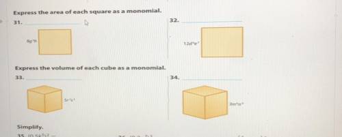 Express the area of each square as a monomial
Express the volume of each cube as a monomial.