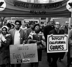 The image shows people advocating for the grape boycott of the late 1960s.

What was a result of t