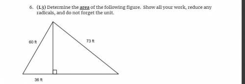 Please be a help and help with my math and show your work, please.