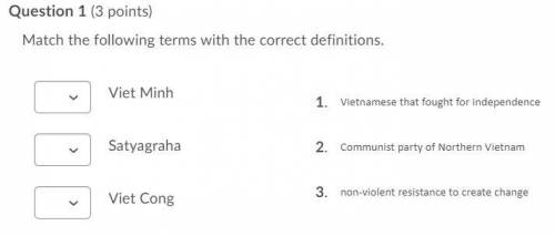Match the following terms with the correct definitions.

Question 1 options:
Viet Minh
Satyagraha
