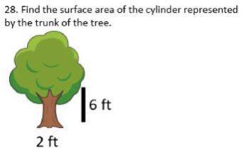Find the surface area of the cylinder represented by the trunk of the tree.