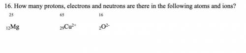 How many protons, electrons, and neutrons are there in the following atoms and ions?