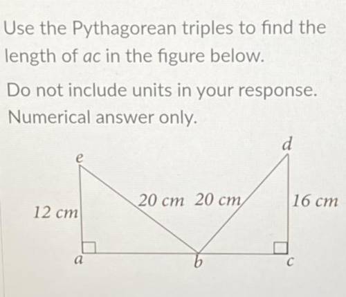 PLEASE HELP ME can someone explain and give the answer