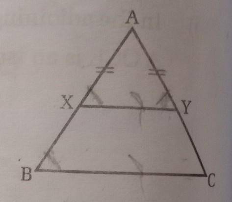 ABC is an isosceles triangle and XY // BC. If XY cuts AB

at X and AC at Y, prove that the four po