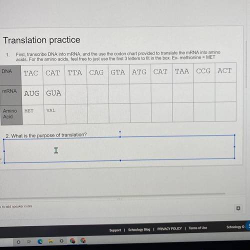 Translation practice