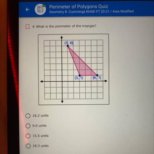 4. What is the perimeter of the triangle?