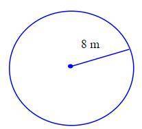 What are the area and the circumference of the circle at the right?