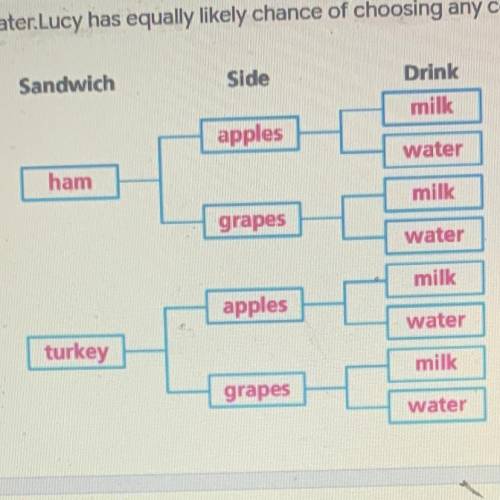 Lucy can choose one sandwich ham or turkey, once side apple or grapes, one drink milk or water. Luc