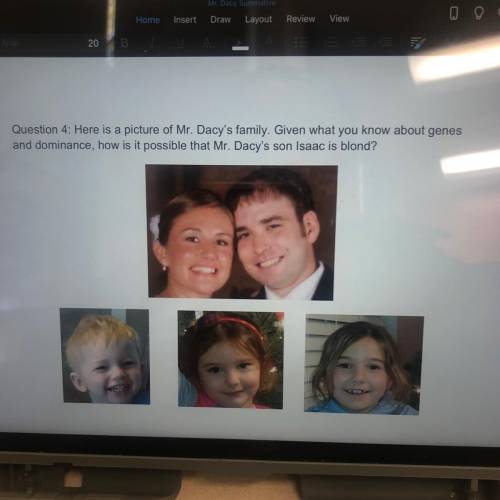 Question 4: Here is a picture of Mr. Dacy's family. Given what you know about genes

 
and dominanc