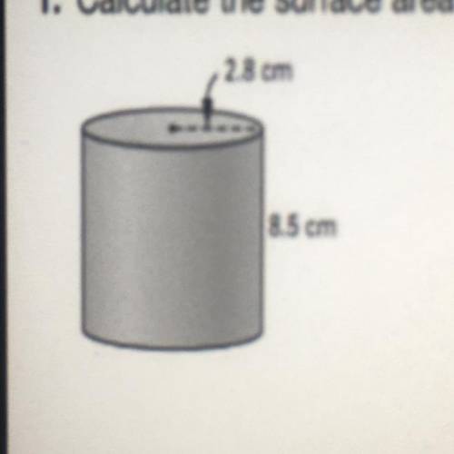 Can someone please calculate the surface area of this cylinder please
