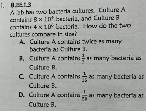 A lab has two bacteria cultures. Culture A

contains 8 x 104 bacteria, and Culture B
contains 4 x