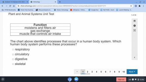 The chart above identifies processes that occur in a human body system. Which human body system per