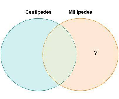 Jan drew a diagram to compare centipedes and millipedes. Which belongs in the area labeled Y?

A.a